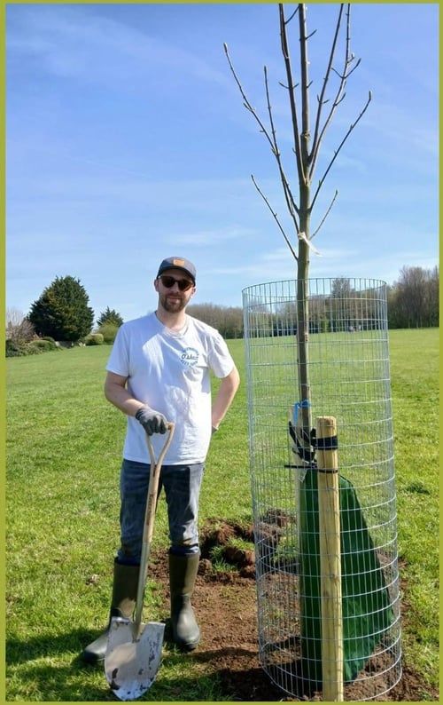 Jazz planting trees