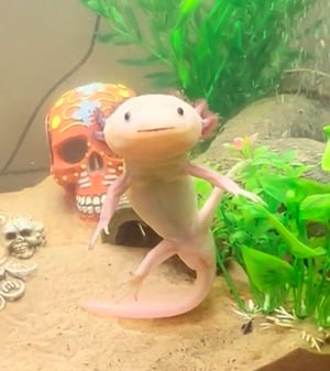 original-161C14A8-973A-48CC-9DDE-304056512029